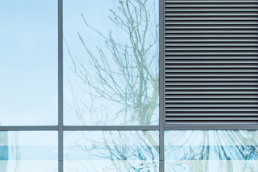 INPP glass windows with tree behind