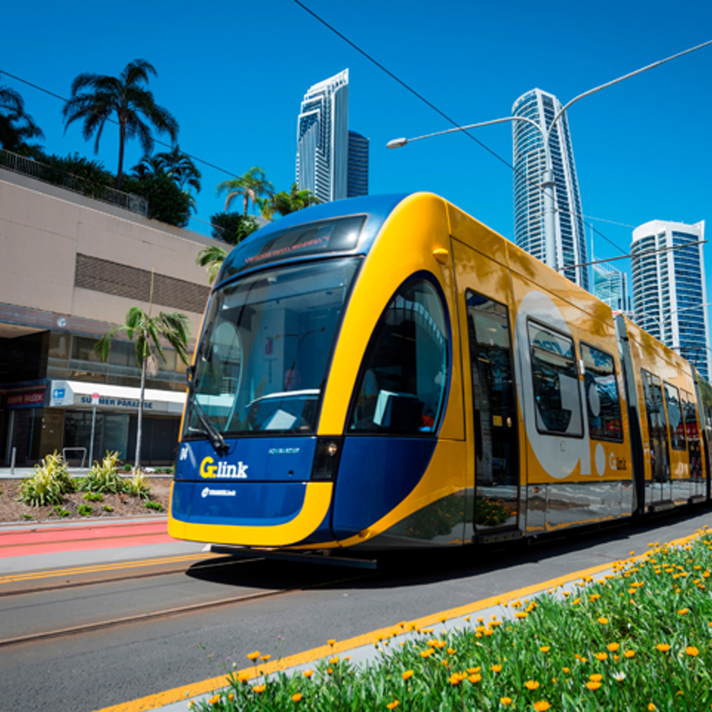 Gold Coast. Light Rail Image of tram through Australia